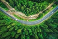 Aerial view of road in beautiful green forest at sunset in summer Royalty Free Stock Photo