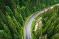 Aerial view of road in beautiful green forest at sunset in summer Royalty Free Stock Photo