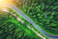 Aerial view of road in beautiful green forest at sunset in summer Royalty Free Stock Photo