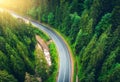 Aerial view of road in beautiful green forest at sunset in summer Royalty Free Stock Photo