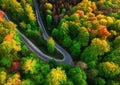 Aerial View Of A Road Bend In A Colorful Forest