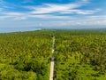 Aerial view of road between coconut plantation. Philippines. Royalty Free Stock Photo