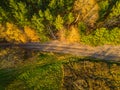 Aerial view of road in colorful forest at sunset in autumn. Top view from drone of mountain road in woods. Beautiful landscape Royalty Free Stock Photo
