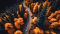Aerial view of road in colorful forest at sunset in autumn. Top view from drone of mountain road in woods. Beautiful landscape Royalty Free Stock Photo