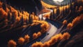 Aerial view of road in colorful forest at sunset in autumn. Top view from drone of mountain road in woods. Beautiful landscape Royalty Free Stock Photo