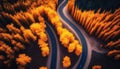 Aerial view of road in colorful forest at sunset in autumn. Top view from drone of mountain road in woods. Beautiful landscape Royalty Free Stock Photo