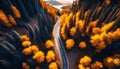 Aerial view of road in colorful forest at sunset in autumn. Top view from drone of mountain road in woods. Beautiful landscape Royalty Free Stock Photo