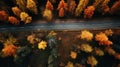 Aerial view of road in colorful forest at sunset in autumn. Top view from drone of mountain road in woods. Beautiful Royalty Free Stock Photo