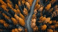Aerial view of road in colorful forest at sunset in autumn. Top view from drone of mountain road in woods. Beautiful Royalty Free Stock Photo