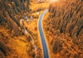 Aerial view of road in colorful orange forest at sunset in autumn Royalty Free Stock Photo