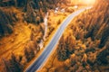 Aerial view of road in colorful orange forest at sunset in autumn