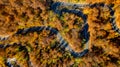 Aerial view of road with curves crossing dense forest in autumn colors. Aerial view, drone view Royalty Free Stock Photo