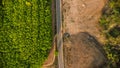 Aerial view of a road that cuts through a lush forest, on the other side is an area destroyed by humans for cultivation of Royalty Free Stock Photo