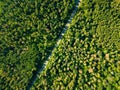 Aerial view of the road through the deciduous forest is a fine summer day. Natural background Royalty Free Stock Photo