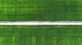 Aerial view at the road and field. Agricultural landscape from air. Field and road. Farm at summer time. Drone photography Royalty Free Stock Photo