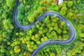 Aerial view on road in the forest. Highway throu the forest. View from a drone. Natural landscape in summer time from air.