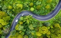 Aerial view on road in the forest. Highway throu the forest. View from a drone. Natural landscape in summer time from air. Royalty Free Stock Photo