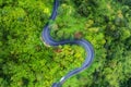 Aerial view on road in the forest. Highway throu the forest. View from a drone. Natural landscape in summer time from air. Royalty Free Stock Photo