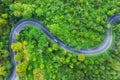 Aerial view on road in the forest. Highway throu the forest. View from a drone. Natural landscape in summer time from air.