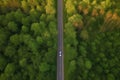 Aerial view road and forest. Road going through forest with car view from above. Generative AI Royalty Free Stock Photo