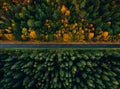 Aerial view of a road through the forest in summer and fall or autumn Royalty Free Stock Photo