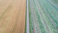 Aerial view of the road and green, yellow fields Royalty Free Stock Photo