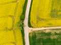 Aerial view of road between green and yellow fields. Agriculture drone shot of canola rapeseed field and green crop field. Ecology Royalty Free Stock Photo