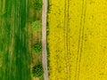 Aerial view of road between green and yellow fields. Agriculture drone shot of canola rapeseed field and green crop field. Ecology Royalty Free Stock Photo