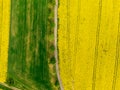 Aerial view of road between green and yellow fields. Agriculture drone shot of canola rapeseed field and green crop field. Ecology Royalty Free Stock Photo