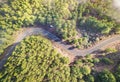 Aerial view of road inside forest with trees on Teide Tenerife