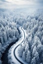 Aerial view of road and river in snowy woods in winter. Landscape of white forest with path, snow and trees. Concept of nature,