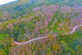 Aerial view of road street with sakura cherry flowers blossom trees of Phu Lom Lo national park, Phu Hin Rong Kla National Park, Royalty Free Stock Photo