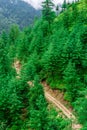 Aerial View of Road Surrounded by Deodar tree in himalayas, sainj valley, kullu, himachal pradesh, india Royalty Free Stock Photo