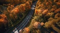 Aerial view of road winding through Autumn trees