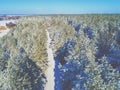 Aerial view of the road in the winter pine forest Royalty Free Stock Photo