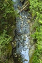 Aerial view of a rocky river surrounded by forest at lynn canyon park