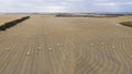 Rolled hay bales in a dry agricultural field in regional Australia Royalty Free Stock Photo