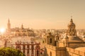 Aerial view of the roofs and the cathedral of Seville, Spain Royalty Free Stock Photo