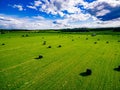 Aerial view of round straw bales in black plastic in green field in rural Finland. Royalty Free Stock Photo