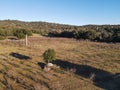 Aerial view of rows of apple trees in an orchard during winter season