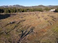 Aerial view of rows of apple trees in an orchard during winter season