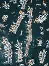 Aerial view of rows of yachts with people partying on them