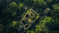 Aerial view of a ruined building in the midst of a forest