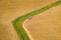 Aerial View Of Rural Landscape. Combine Harvester Working In Field, Collects Seeds. Harvesting Of Wheat In Late Summer Royalty Free Stock Photo
