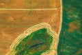 Aerial View Of Rural Landscape. Combine Harvester Working In Field, Collects Seeds. Harvesting Of Wheat In Late Summer Royalty Free Stock Photo