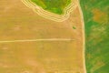 Aerial View Of Rural Landscape. Combine Harvester Working In Field, Collects Seeds. Harvesting Of Wheat In Late Summer Royalty Free Stock Photo