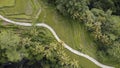 Aerial view of rural road in Bali, Indonesia. Rice field and palm tree along the curved road. Royalty Free Stock Photo