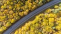 Aerial view of rural road with blue car in yellow and orange autumn forest in Sweden Royalty Free Stock Photo