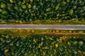 Aerial view of rural road and colorful autumn forest in Finland Royalty Free Stock Photo