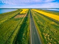 Aerial view of rural road passing through vivid yellow canola fields between two lakes. Royalty Free Stock Photo